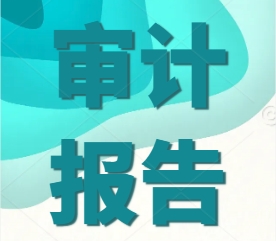 1741570149146039.png 审计报告.png