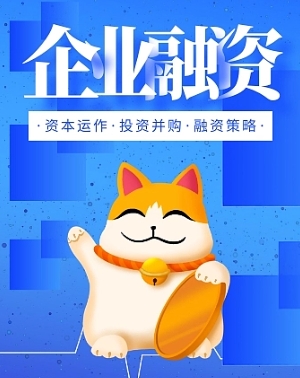 1742365322123725.png 企业融资.png